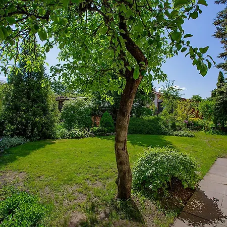 A Fairy Tale Garden In A