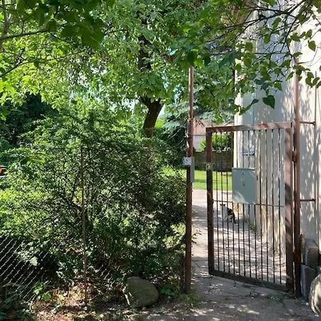 公寓 A Fairy Tale Garden In A 维尔纽斯
